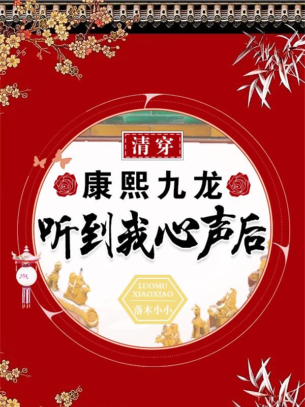 清穿康熙党小说