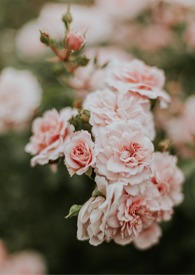 西窗烛小说笔趣阁